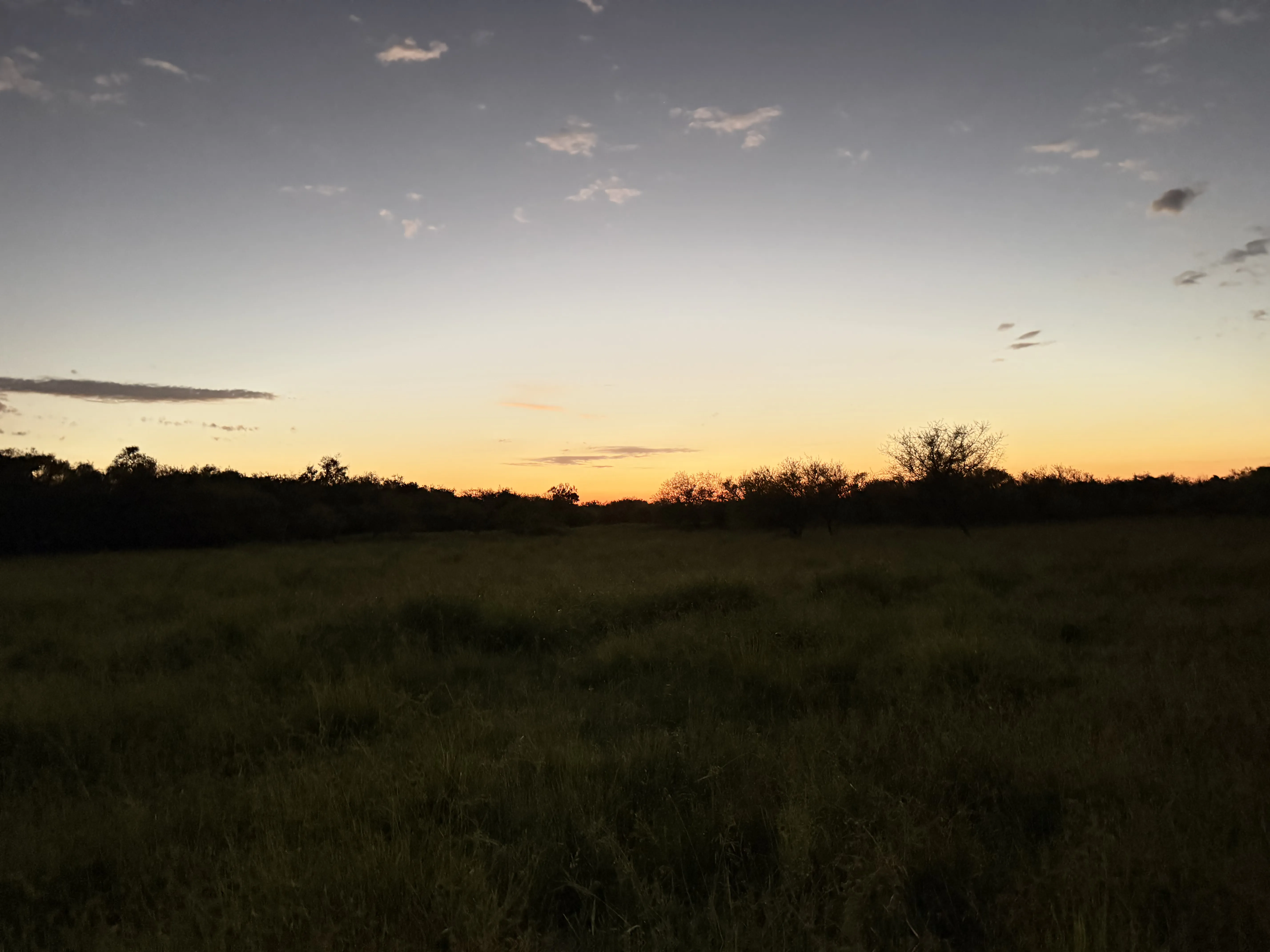 Vista panorámica del campo de caza desde un apostadero elevado en Corrientes