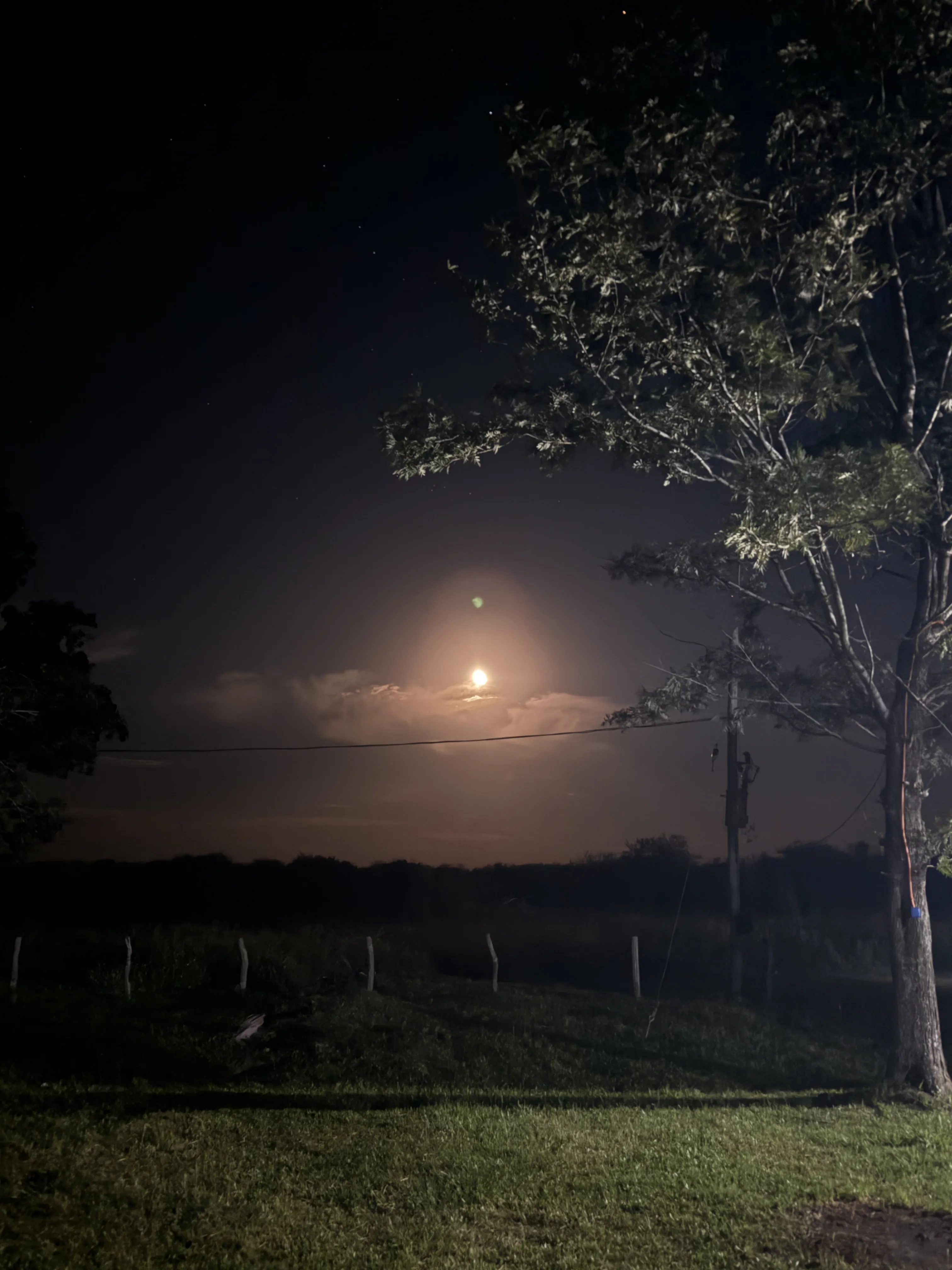 Noche de luna sobre los campos abiertos de La Alemania Hunting, Corrientes
