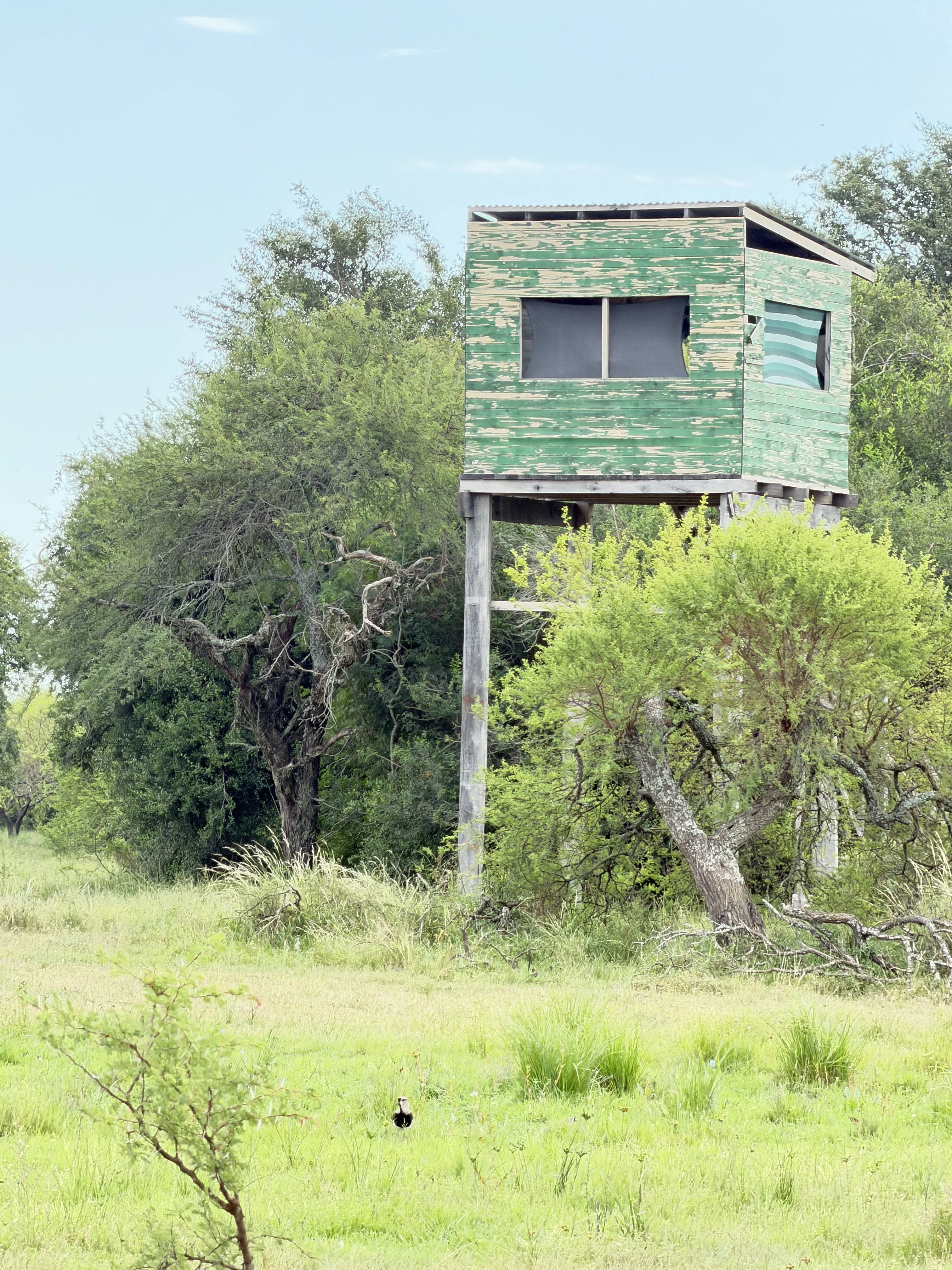Apostadero elevado para caza en los campos de La Alemania, Corrientes